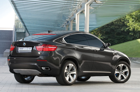 BMW X6: 2 фото