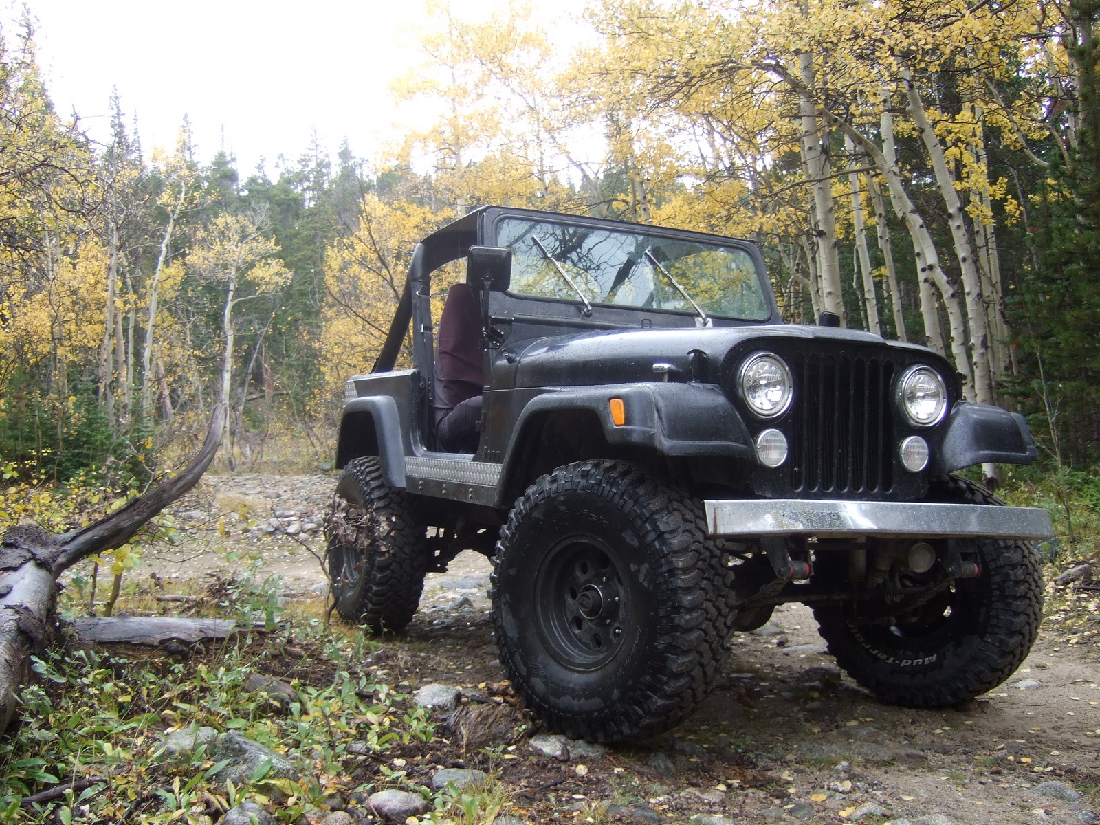 Jeep CJ-7: 12 фото