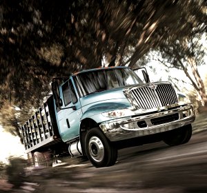 International DuraStar: 10 фото