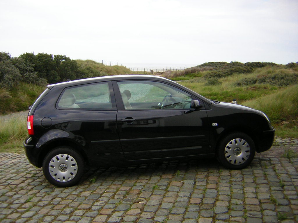 Volkswagen Polo IV: 5 фото